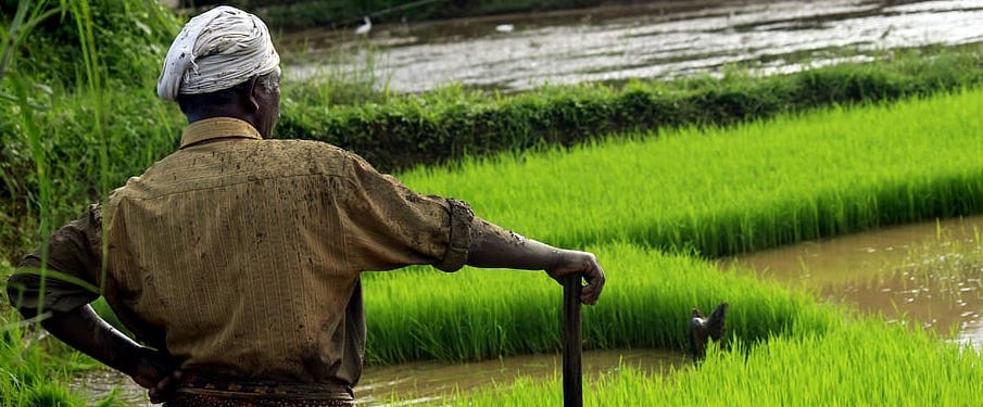 India Rice Export Ban
