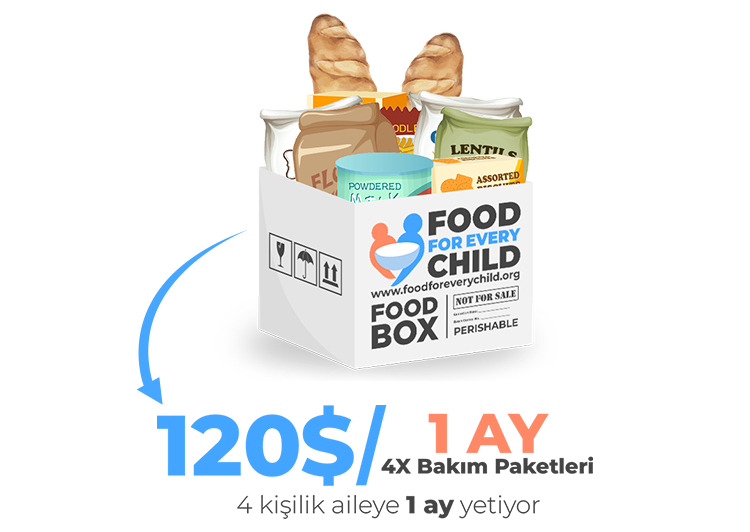 Food Box Cost Graphic - Turkish